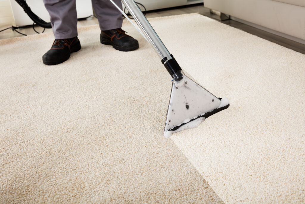 Carpet cleaning company in Utah