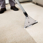 What You Should Know About Carpet Cleaning Companies